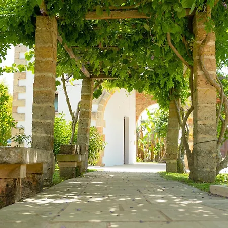 Bed & Breakfast Padula