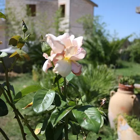 Padula Sogliano Cavour